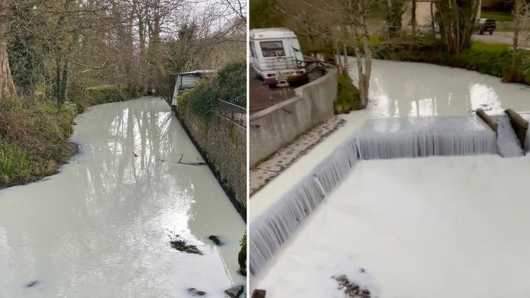 Hy hữu: Lật xe, hàng ngàn lít sữa khiến dòng kênh trắng xoá