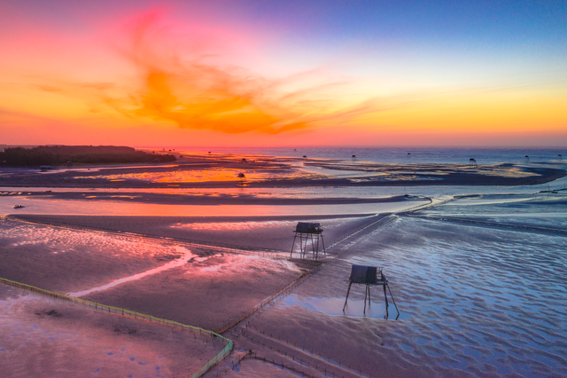 Sửng sốt vẻ đẹp của cánh đồng ngao trên bãi biển Thái Bình Sửng sốt vẻ đẹp của cánh đồng ngao trên bãi biển Thái Bình