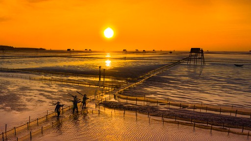 Về Thái Bình, cùng chụp ảnh và ngắm vẻ đẹp 'gây sốt' ở cánh đồng ngao nuôi
