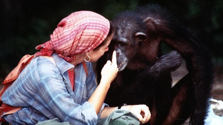 Ngưỡng mộ tình bạn kỳ lạ giữa một phụ nữ và loài tinh tinh