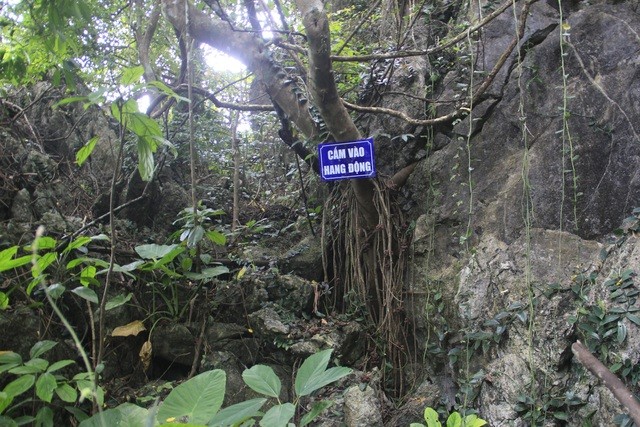 Khám phá hang động tuyệt đẹp ẩn sâu hàng chục năm giữa rừng Quảng Trị