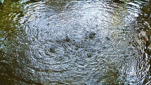 Vĩnh Long: Mục sở thị hồ nước kỳ lạ, sôi quanh năm nhưng vẫn mát lạnh