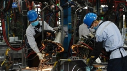 Doanh nghiệp châu Âu lạc quan về môi trường kinh doanh Việt Nam