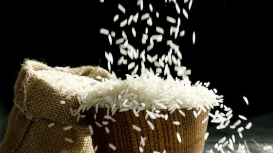 Giúp đối phó khủng hoảng, Ấn Độ viện trợ gạo cho Sri Lanka