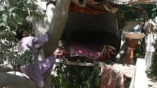 Pakistan: Chuyện về người đàn ông sống 8 năm trong ngôi nhà trên cây