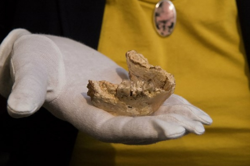 Công bố phát hiện chấn động mới về nguồn gốc loài người