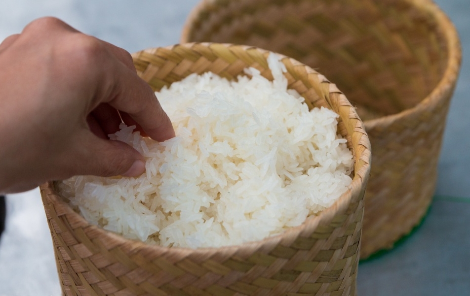 Gạo Thái Lan: Từ nông sản thô đến sản phẩm thương hiệu quốc gia và vị trí cường quốc xuất khẩu gạo