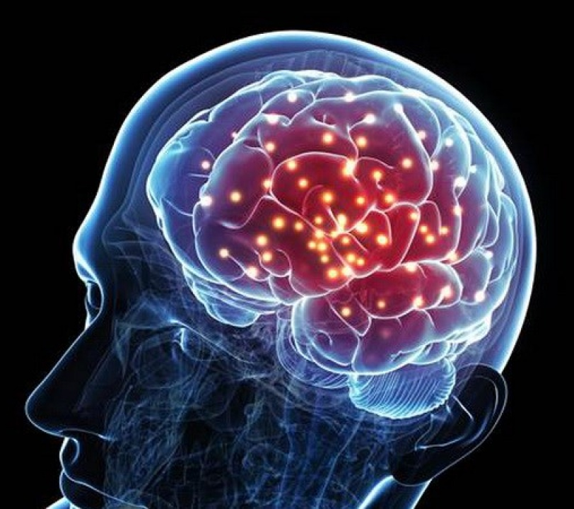 Phát hiện ra các gene quy định trí thông minh ở con người