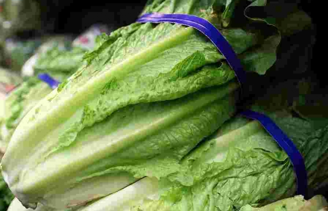 Mỹ: Trường hợp tử vong đầu tiên trong đợt dịch bệnh do E.coli