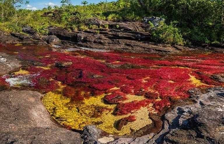 Hiện tượng tự nhiên rực rỡ sắc màu trên thế giới