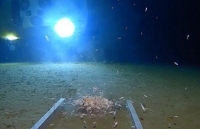 phu quoc la thanh pho dau tien cua viet nam cam ket tro thanh do thi giam nhua