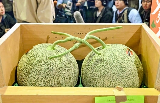 Nhật Bản: Đấu giá thành công cặp dưa hấu có giá kỷ lục 5 triệu Yen