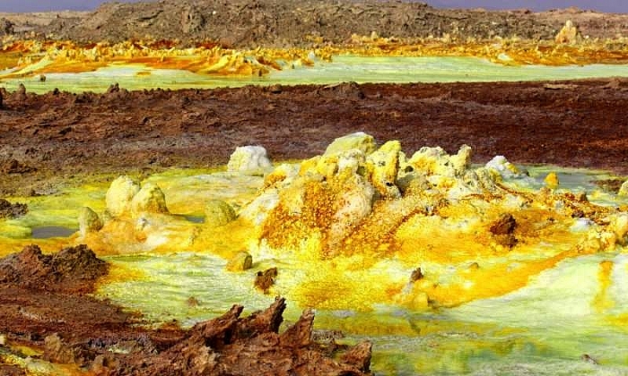 vi khuan ki la o nui lua ethiopia cho thay su song co the ton tai tren sao hoa