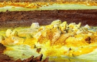 xon xao thong tin tim thay oc dao co xua tren sao hoa