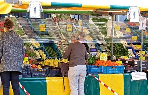 Hà Lan ghi nhận ca nhiễm virus SARS-CoV-2 từ chồn