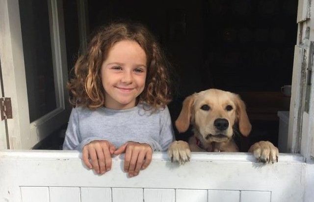 Bật cười với 'năng khiếu' hài hước của các loài động vật