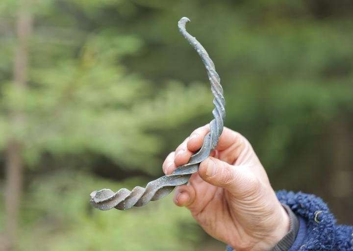 Thụy Điển: Dạo chơi trong rừng tình cờ phát hiện kho báu từ thời đồ đồng Thụy Điển: Dạo chơi trong rừng tình cờ phát hiện kho báu từ thời đồ đồng