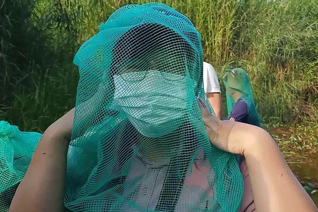 Đến rừng U Minh Hạ săn tổ ong siêu to Đến rừng U Minh Hạ săn tổ ong siêu to