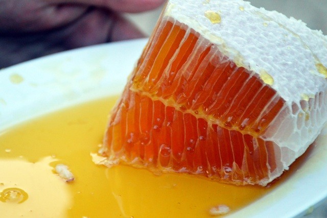 Đến rừng U Minh Hạ săn tổ ong siêu to Đến rừng U Minh Hạ săn tổ ong siêu to