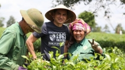 Vòng loại World Cup 2022: HLV Kiatisuk đánh giá đội tuyển Việt Nam rất cao, hơn tuyển Thái Lan