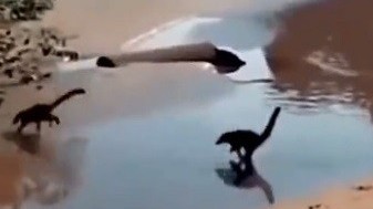 Sự thật về video đàn khủng long con chạy trên bãi biển