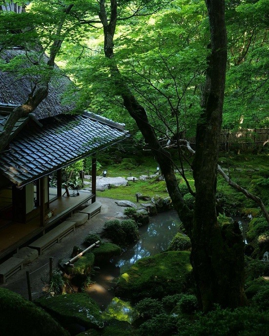 Nhật Bản: Ngôi đền cổ 1.500 tuổi nép dưới rừng cây