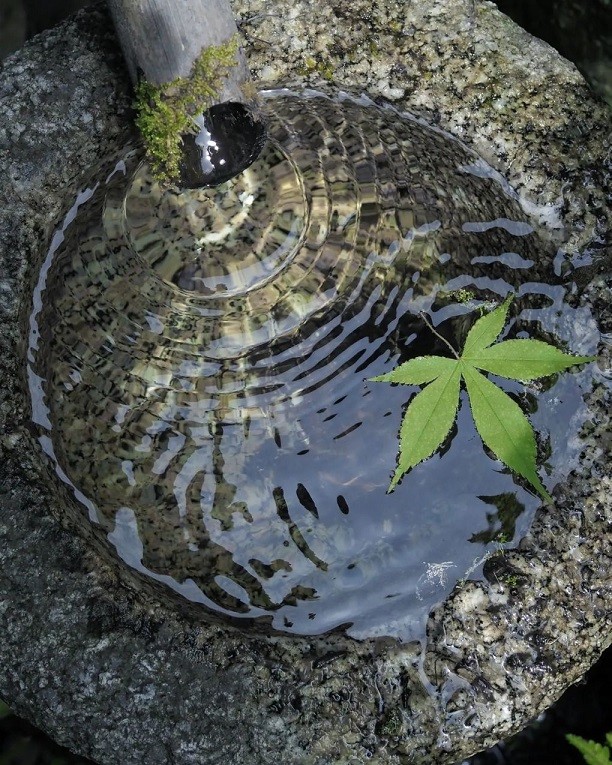 Nhật Bản: Ngôi đền cổ 1.500 tuổi nép dưới rừng cây