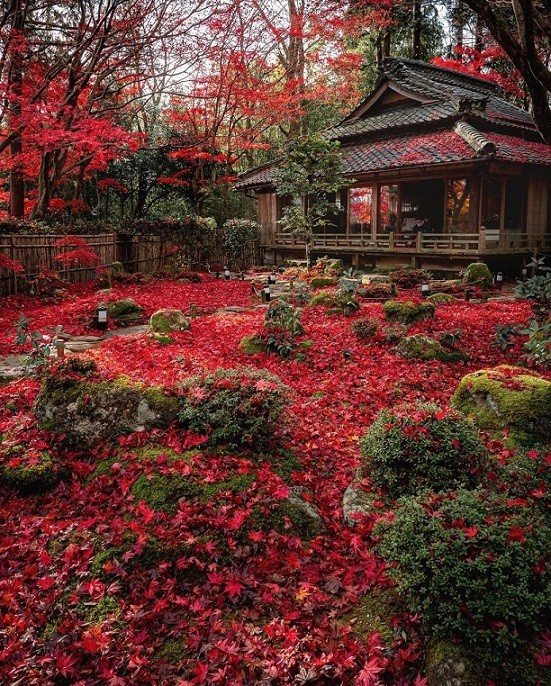 Nhật Bản: Ngôi đền cổ 1.500 tuổi nép dưới rừng cây