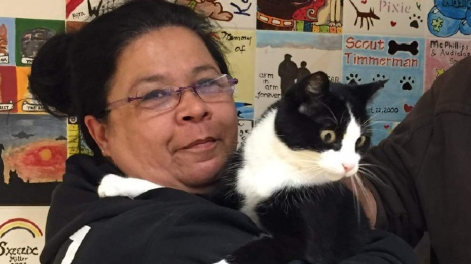 Mèo đoàn tụ với chủ sau 12 năm lưu lạc