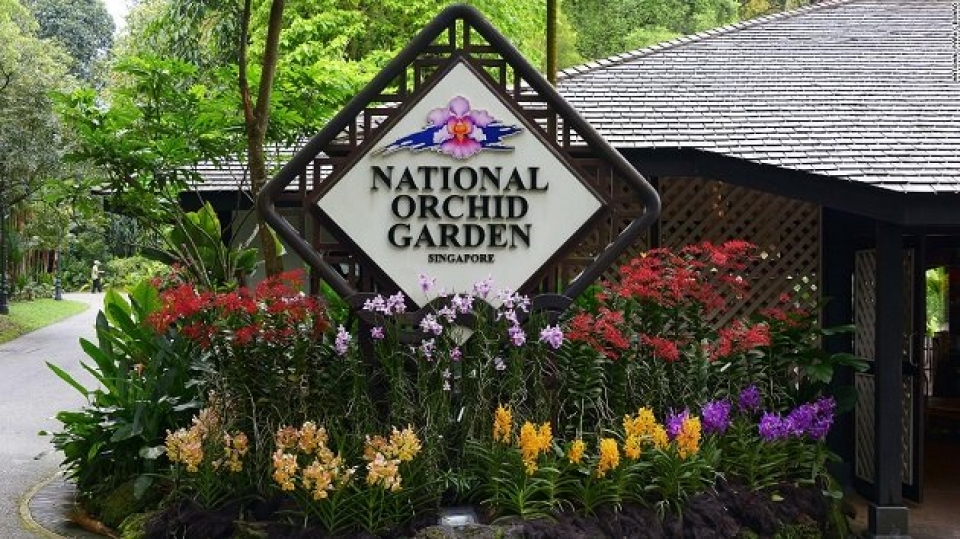 Sẽ có hoa lan mang tên ông Trump và Kim Jong-un? se co hoa lan mang ten ong trump va kim jong un