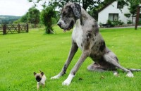 lo dien nhung ky luc guinness the gioi 2018 an tuong den kho tin