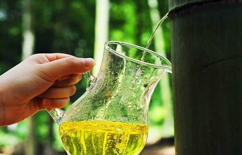 Trung Quốc: Độc đáo kỹ thuật ủ rượu trong thân tre tươi