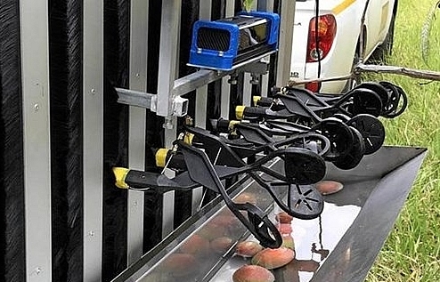 'Robot thay thế hoàn toàn con người là nỗi sợ hão huyền'