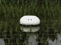 co nhan tao nang duoc vat nang gap 1000 lan mo ra tuong lai cho robot giong het con nguoi