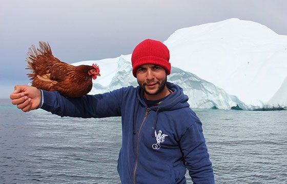 Chàng trai dắt… gà mái chu du khắp thế giới