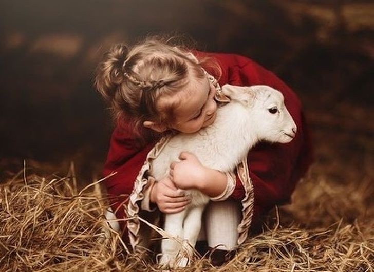 tan chay voi bo anh tuyet dep ve tre em ben thu cung