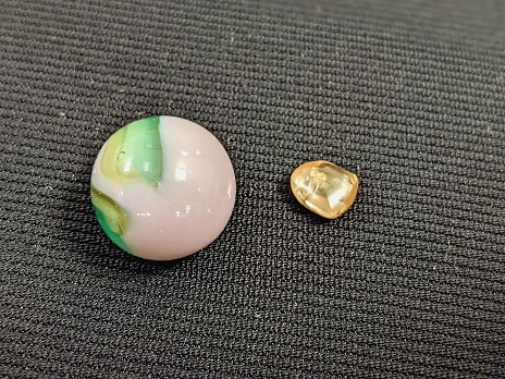 Nhặt được viên kim cương lớn hiếm thấy trong công viên