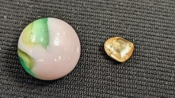 Cầu hôn bạn gái bằng viên kim cương lớn tìm được trong... công viên