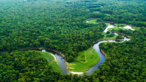 Vì sao sông Amazon dài gần 7.000km nhưng không có cây cầu nào?