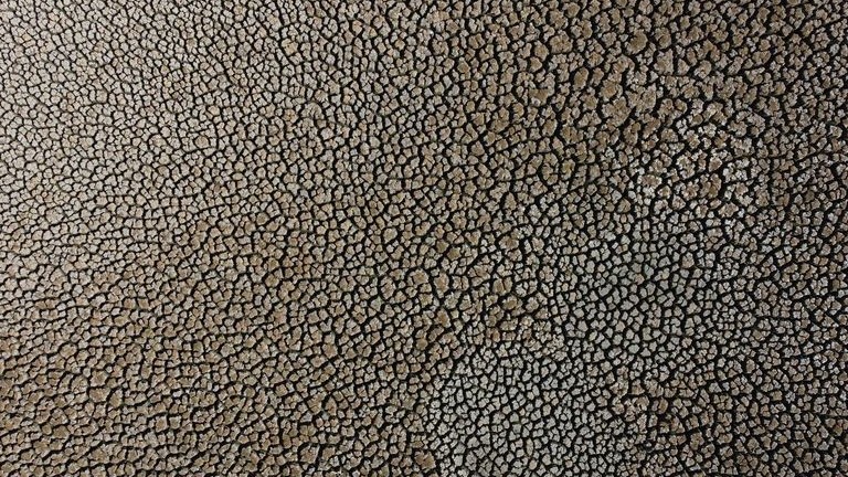 Chile: Biển đổi khí hậu, hồ nước cạn trơ đáy sau 13 năm