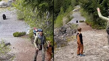 20 phút 'đồng hành' cùng gấu đen Bắc Mỹ, cách một gia đình giữ 'hòa bình' với thú dữ