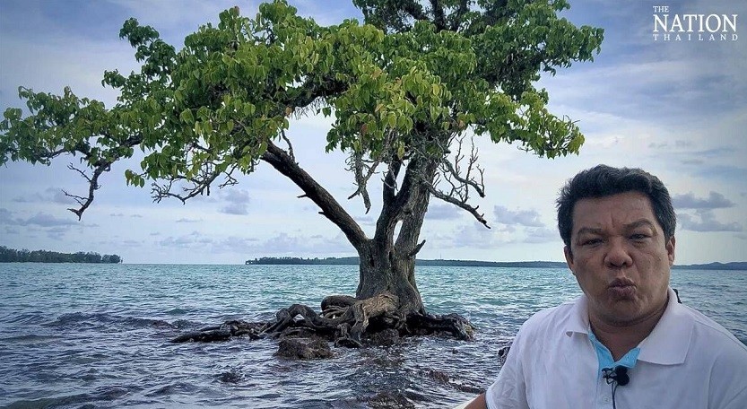 Thái Lan: Cây cô đơn