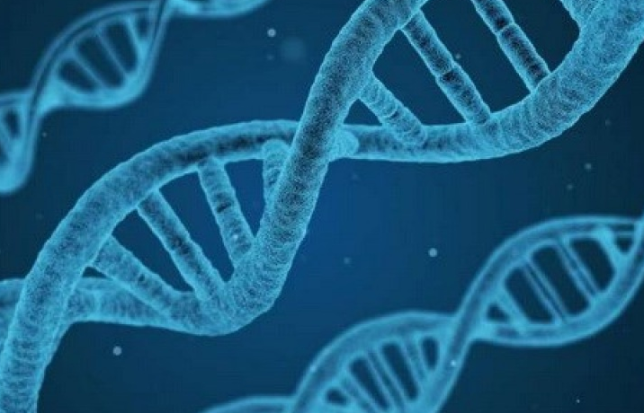 Xác định mối liên quan của 25 đột biến với nguy cơ ung thư ở phụ nữ