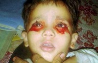 em be nguoi chim moi 8 tuoi da qua doi vi qua gia