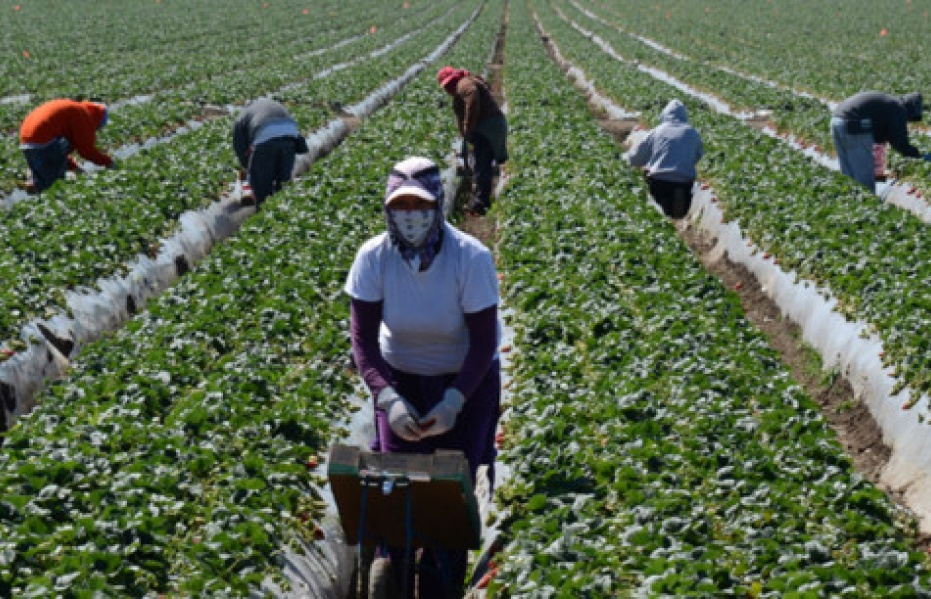 Tỷ lệ thất nghiệp ở Mỹ xuống mức thấp nhất trong 16 năm