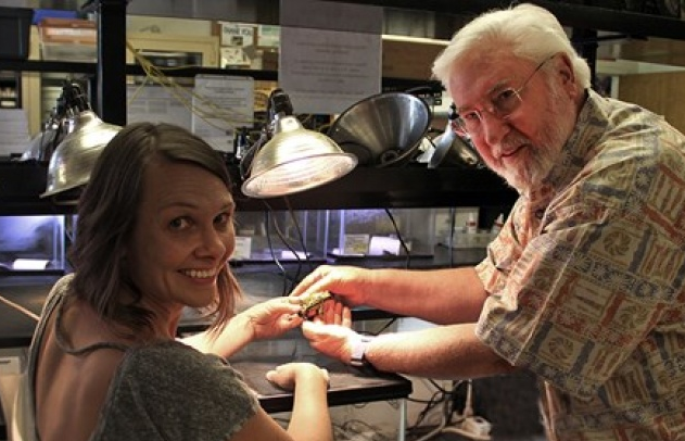 Mỹ phát hiện 3 giống cóc hiếm