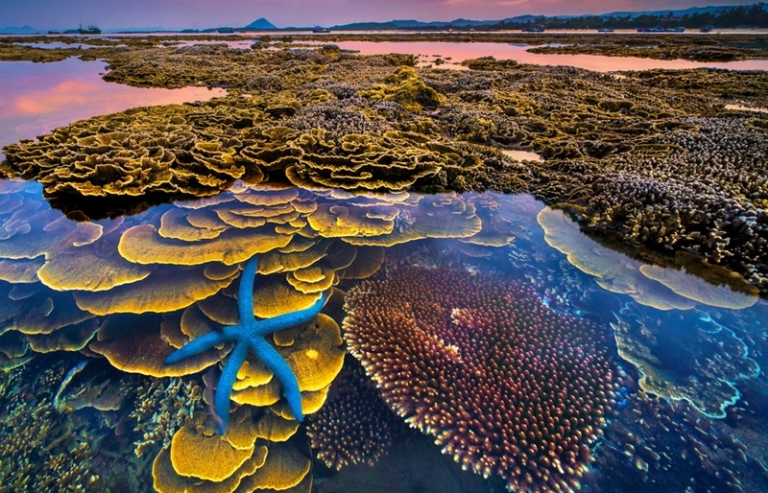 11 tác phẩm đoạt giải Ảnh nghệ thuật Du lịch chủ đề 'Tôi yêu Việt Nam'