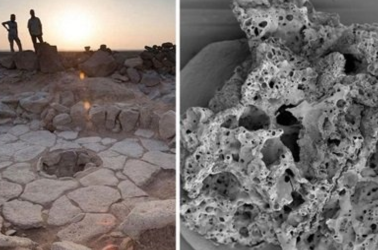 Bánh mì có thể đã được "ra đời" cách đây 14.500 năm