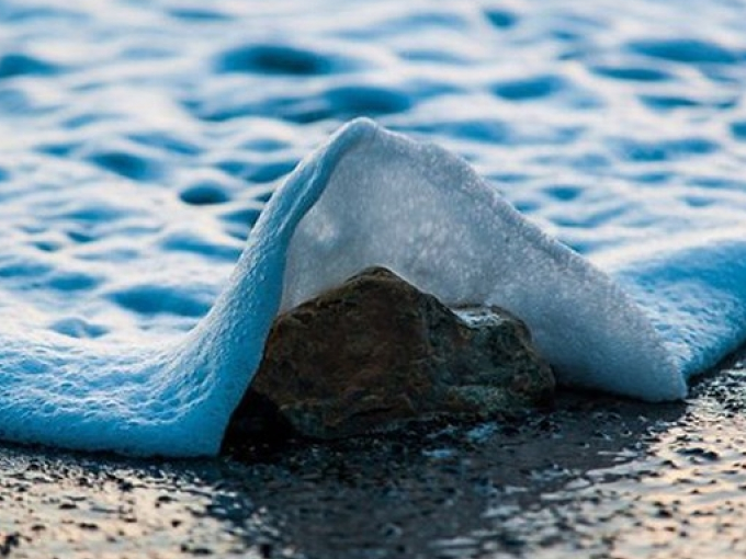 Chiêm ngưỡng những khoảnh khắc kỳ thú trong cuộc sống