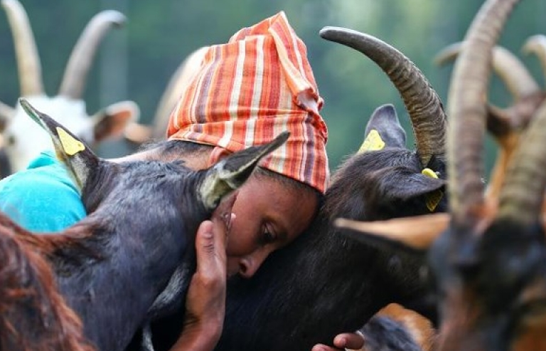 Cuộc sống đáng mơ ước của một người tị nạn ở Italy